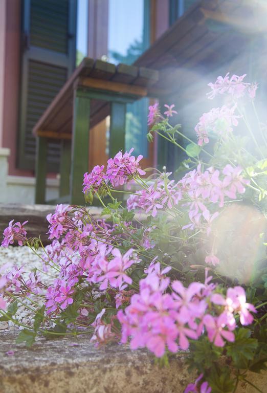Country House Angelo Blu Urbania Bagian luar foto